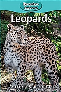 Leopards (Paperback)