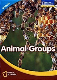 [중고] World Window Science Grade 3.5: Animal Groups (Student Book 1권 + Workbook 1권 + CD 1장)