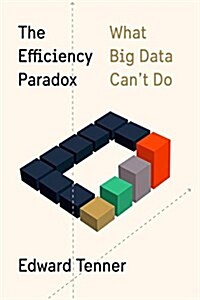 [중고] The Efficiency Paradox: What Big Data Can‘t Do (Hardcover, Deckle Edge)