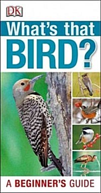 Whats That Bird?: A Beginners Guide (Paperback)