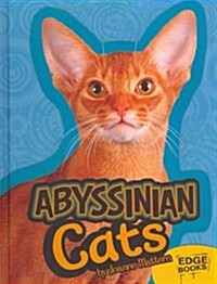 Abyssinian Cats (Hardcover)