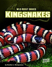 Kingsnakes (Paperback)