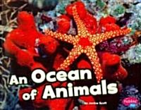 An Ocean of Animals (Paperback)