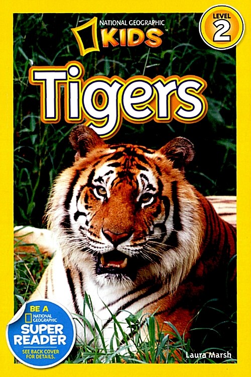 [중고] Tigers (Paperback)