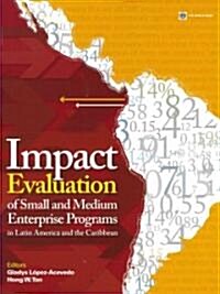 Impact Evaluation of Small and Medium Enterprise Programs in Latin America and the Caribbean (Paperback)