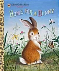 Home for a Bunny: A Classic Easter Book for Kids (Hardcover)