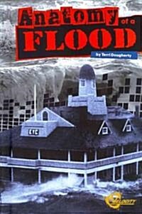 Anatomy of a Flood (Library Binding)