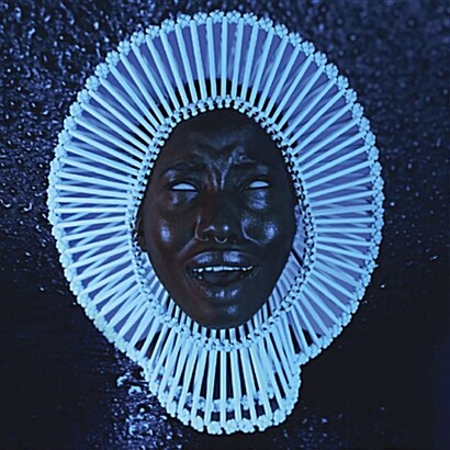 [수입] Childish Gambino - Awaken, My Love!