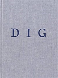 Daniel Silver : Dig (Hardcover)