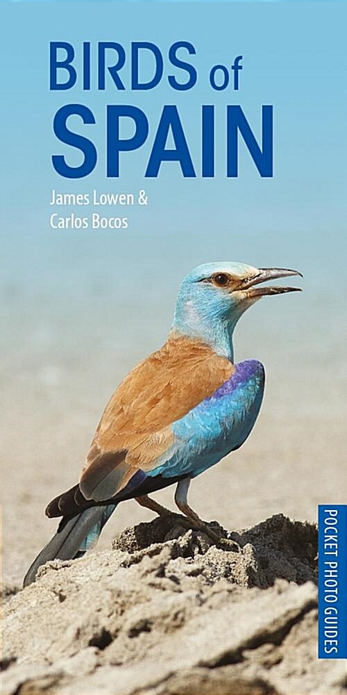 Birds of Spain (Paperback)