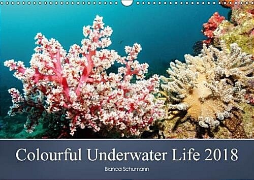 Colourful Underwater Life 2018 2018 : The tropical waters of Pemuteran (Calendar)