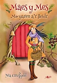 Cyfres Maes y Mes: Mwyaren ar Lleidr (Paperback)