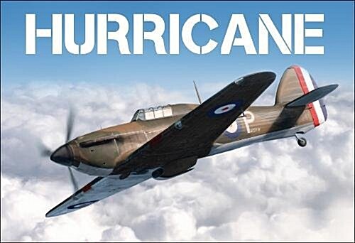 Hurricane (Hardcover)