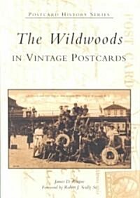 The Wildwoods in Vintage Postcards (Paperback)