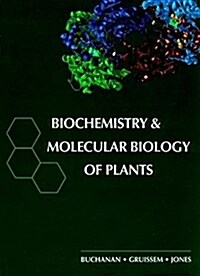 [중고] Biochemistry & Molecular Biology of Plants (Paperback)