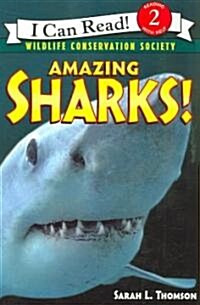 Amazing Sharks! (Paperback)
