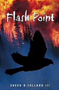 Flash Point (Hardcover)