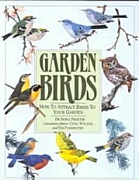 Garden Birds (Paperback)