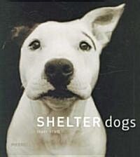 Shelter Dogs (Hardcover)