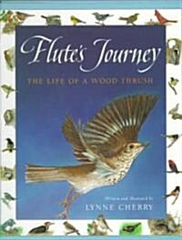 Flutes Journey (School & Library)