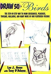 Draw 50 Birds (Paperback)