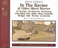 In the Ravine (Audio CD, Abridged)