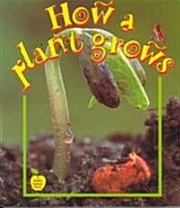 [중고] How a Plant Grows (Paperback)