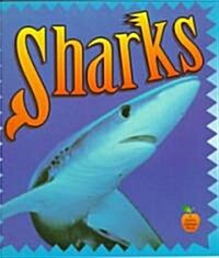 Sharks (Paperback)