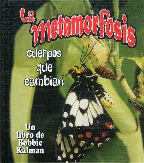 La Metamorfosis: Cuerpos Que Cambian (Metamorphosis: Changing Bodies) (Hardcover)