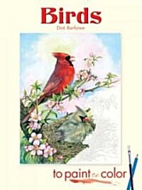 Birds to Paint or Color (Paperback)