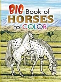 Big Book of Horses to Color (Paperback)
