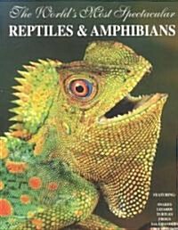 The Worlds Most Spectacular Reptiles and Amphinas (Paperback)