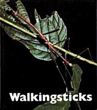 Walkingsticks (Library)
