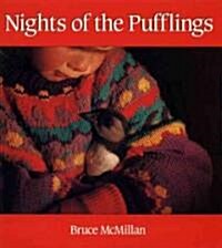 Nights of the Pufflings (Paperback, Reprint)