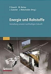 Energie Und Rohstoffe: Gestaltung Unserer Nachhaltigen Zukunft (Hardcover, 2011)