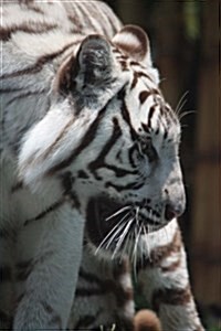 Profile of a White Tiger Journal: Take Notes, Write Down Memories in This 150 Page Lined Journal (Paperback)