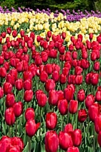 A Field of Purple, Yellow and Red Tulips Journal: Take Notes, Write Down Memories in This 150 Page Lined Journal (Paperback)