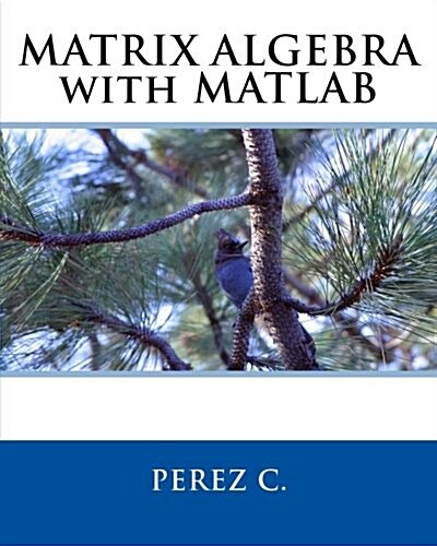 Matrix Algebra with MATLAB (Paperback)