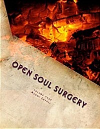 Volume Four, Open Soul Surgery, Deluxe Large Print Color Edition: The Storm (Paperback)