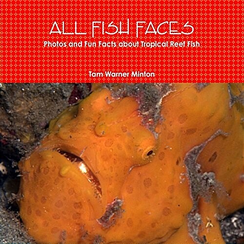 All Fish Faces (Paperback)