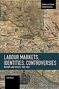 Labour Markets, Identities, Controversies: Reviews and Essays, 1982-2016 (Paperback)
