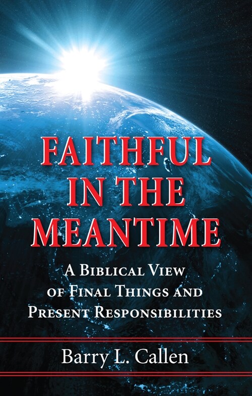 Faithful in the Meantime (Hardcover)