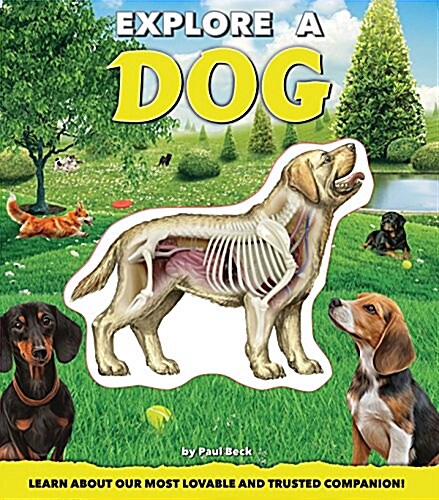 Explore a Dog (Hardcover)