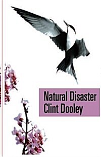 Natural Disasters (Paperback)