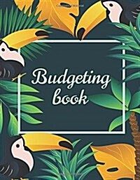Budgeting Books: Large Print (8.5x11) - 365 Days (12 Month) - Budget Organizer, Financial Planner, Monthly Bill Organizer: Budget Pla (Paperback)