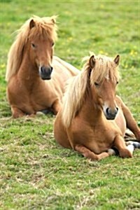 Icelandic Horses Resting Journal: Take Notes, Write Down Memories in This 150 Page Lined Journal (Paperback)