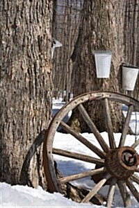 Maple Syrup on Tap Journal: Take Notes, Write Down Memories in This 150 Page Lined Journal (Paperback)