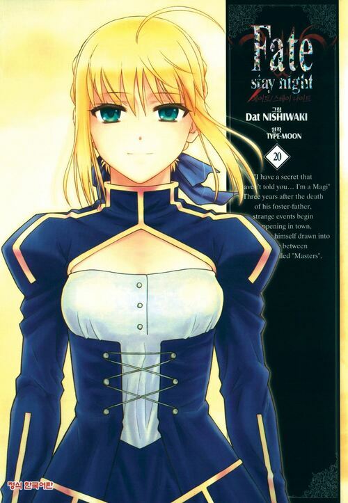 [고화질] 페이트 스테이 나이트(Fate Stay Night) 20 (완결)