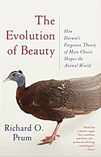 The Evolution of Beauty: How Darwins Forgotten Theory of Mate Choice Shapes the Animal World - And Us (Paperback)