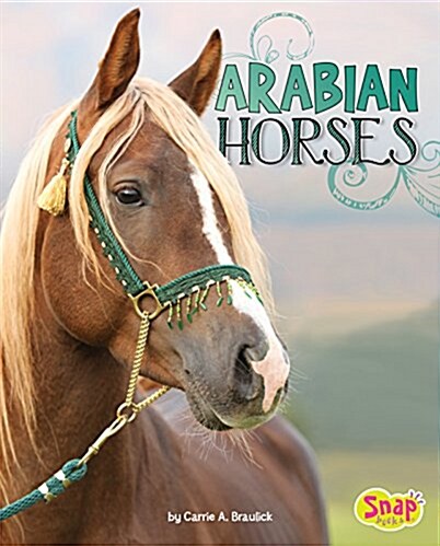 Arabian Horses (Hardcover)